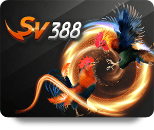 So sánh TK88 Thể Thao VIP với các nền tảng cùng loại